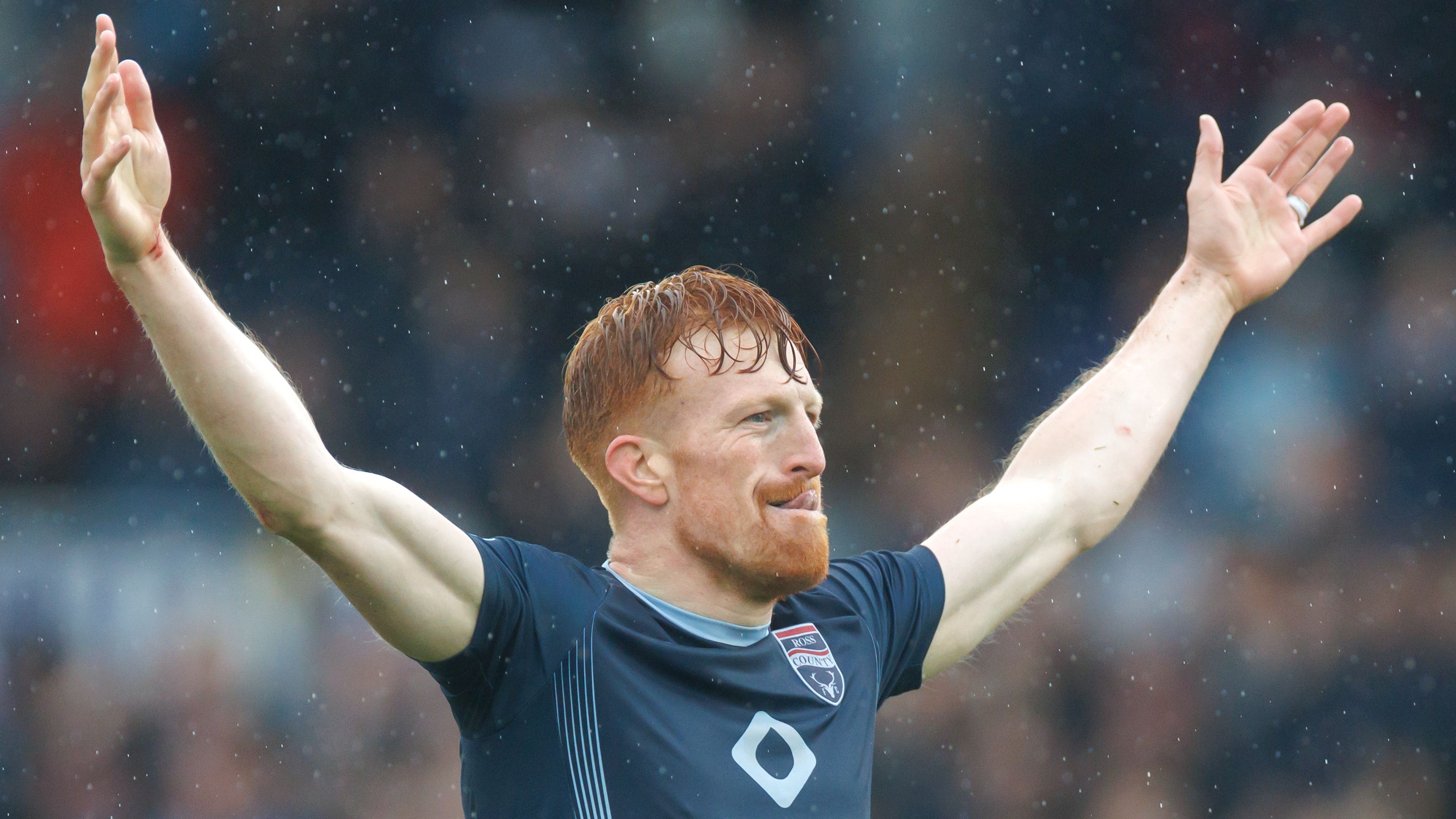 赛他们尝试 赛他们尝试